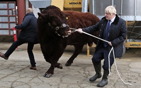 Andrew Milligan/PA/AP/TT Premiärminister Boris Johnson tampas med en tjur på besök i Skottland på fredagen. Andrew Milligan/PA/AP/TT Premiärminister Boris Johnson tampas med en tjur på besök i Skottland på fredagen.