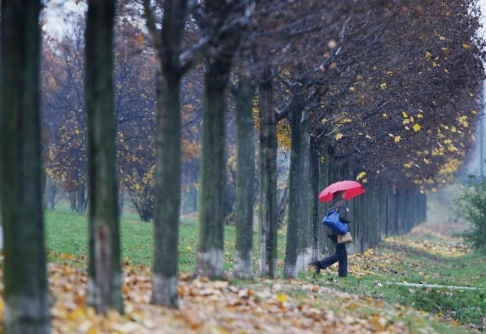 Michael ProbstAP/TT Det blir höstrusk i stora delar av landet och snö i norr. Den som väntar på brittsommar får nog vänta förgäves. Arkivbild. Michael ProbstAP/TT Det blir höstrusk i stora delar av landet och snö i norr. Den som väntar på brittsommar får nog vänta förgäves. Arkivbild.