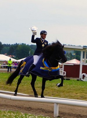 Segraren i T2, 2011!