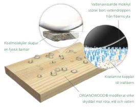 Bildkälla: Organoclick.com. OrganoClick årsredovsining 2018. Bildkälla: Organoclick.com. OrganoClick årsredovsining 2018.