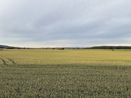 Öppna fält idag. Kanske solceller. Länsstyrelsen bestämmer.