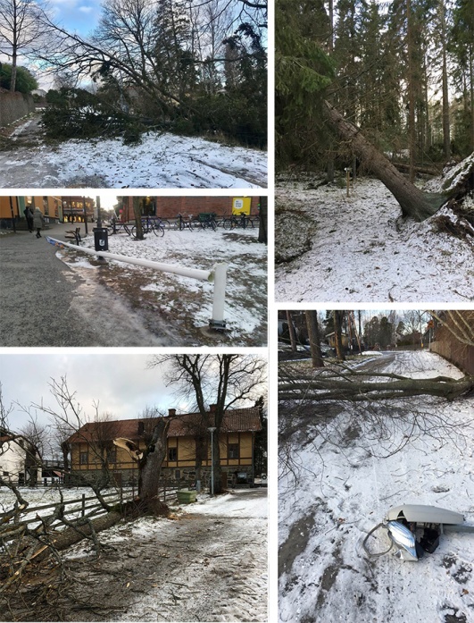 På facebookgruppen Lidingös Anslagstavla var det många som la ut bilder på ikullblåsta träd. Här bland annat från Constantiavägen, Södergarn-Furutorp, Elfvik och en flaggstång i Lidingö centrum. På facebookgruppen Lidingös Anslagstavla var det många som la ut bilder på ikullblåsta träd. Här bland annat från Constantiavägen, Södergarn-Furutorp, Elfvik och en flaggstång i Lidingö centrum.