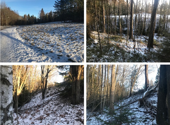 Bilder från området som var tänkt att bebygga. Bilder från området som var tänkt att bebygga.