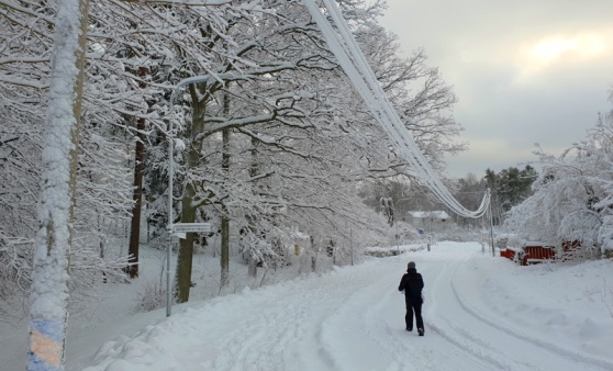 Luftledningarna var ordentligt nedtyngda efter nattens ihållande snöfall, som här på Blåbärsvägen. Läsarbild. Luftledningarna var ordentligt nedtyngda efter nattens ihållande snöfall, som här på Blåbärsvägen. Läsarbild.