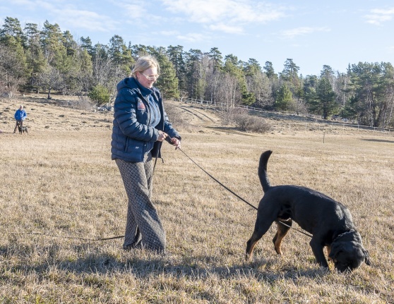 Umbro är en hanhund, fortfarande ung men något mer erfaren än Pippi. Här kommer belöningen i form av hundgodis inte lika ofta. Istället ska hunden lära sig att spåra dofter från olika material, till exmpel metall, läder och i detta fall små träbitar. Umbro är en hanhund, fortfarande ung men något mer erfaren än Pippi. Här kommer belöningen i form av hundgodis inte lika ofta. Istället ska hunden lära sig att spåra dofter från olika material, till exmpel metall, läder och i detta fall små träbitar.