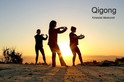 Ba Tian Qigong Ba Tian Qigong
