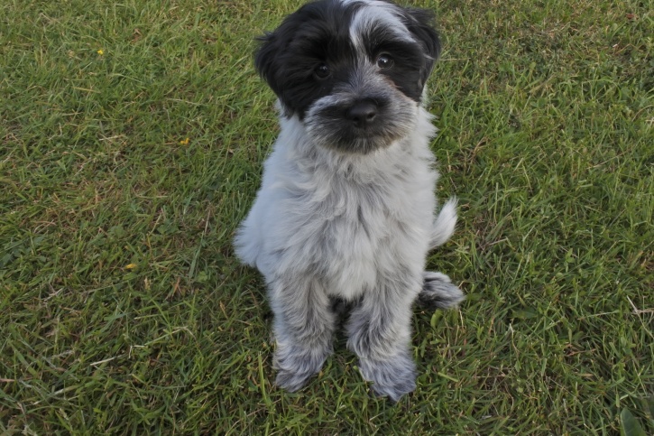 Foto; Milou Bon Foto; Milou Bon