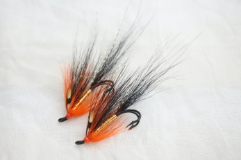 Gledswood Shrimp Gledswood Shrimp