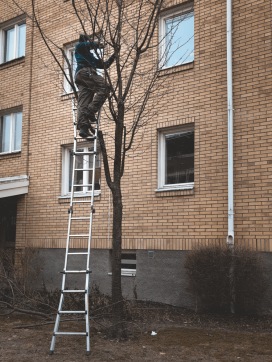 Trädbeskärning Karlstad Trädbeskärning Karlstad