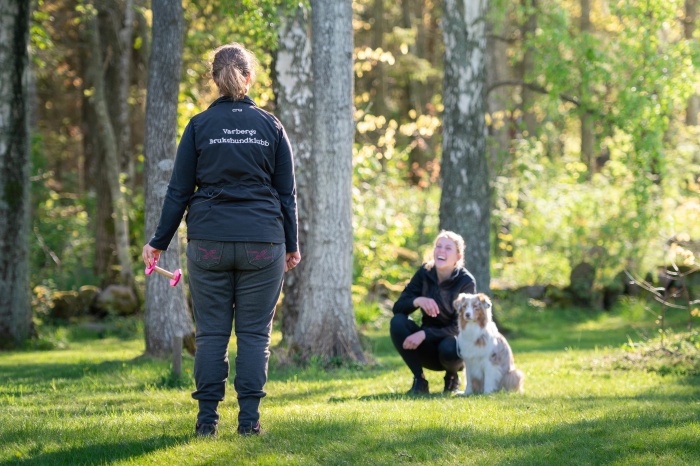 Foto: Malin Johansson