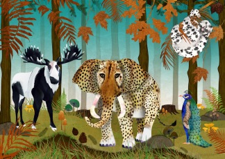 Forest Utopia Print 50x70 - 