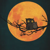Moon owl