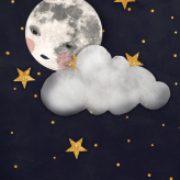 Misty moon| Kort