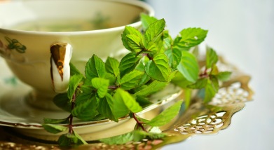 Citronmelisste Citronmelisste