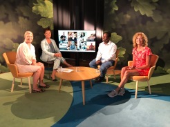 Swedbank Josefine Uppling, Anette Rhudin,  Ahmed Abdirahman och Helena Silvander, Tillväxtbolaget