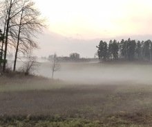 Naturupplevelse. Jag använder alla sinnen! Lyssnar, doftar, iakttar, känner, smakar. Att vara i skog och mark är att vara fullständigt närvarande. . Naturupplevelse. Jag använder alla sinnen! Lyssnar, doftar, iakttar, känner, smakar. Att vara i skog och mark är att vara fullständigt närvarande. .