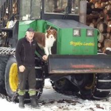 bengan bengan