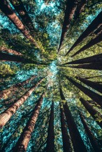 Photo by Casey Horner on Unsplash Photo by Casey Horner on Unsplash