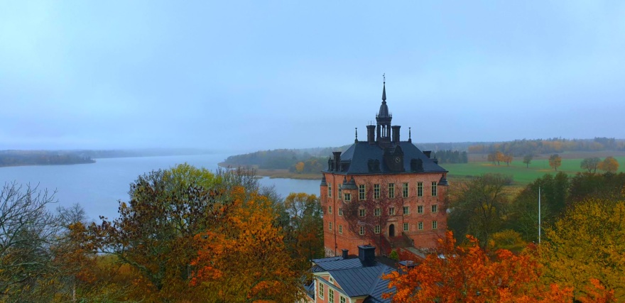 Trädfällning Wiks slott Trädfällning Wiks slott