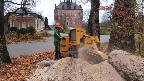 Stubbfräsning Uppsala Stubbfräsning Uppsala