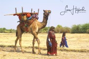 6B. Nomadfamilj (Jat folket, Gujarat, Indien)
