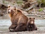 1BB. Mamma (Kamtjatka)
