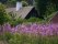 _1050513kapellet webbkapellet webb
