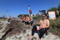 surf web bildspel19