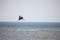surf web bildspel37