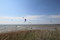 surf web bildspel40