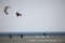 surf web bildspel77
