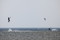 surf web bildspel84