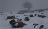baske_ute0522