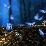 beautiful-blur-bright-326055 beautiful-blur-bright-326055