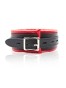 Collar with leash black/red