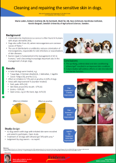 Poster showing positive effects on dogs