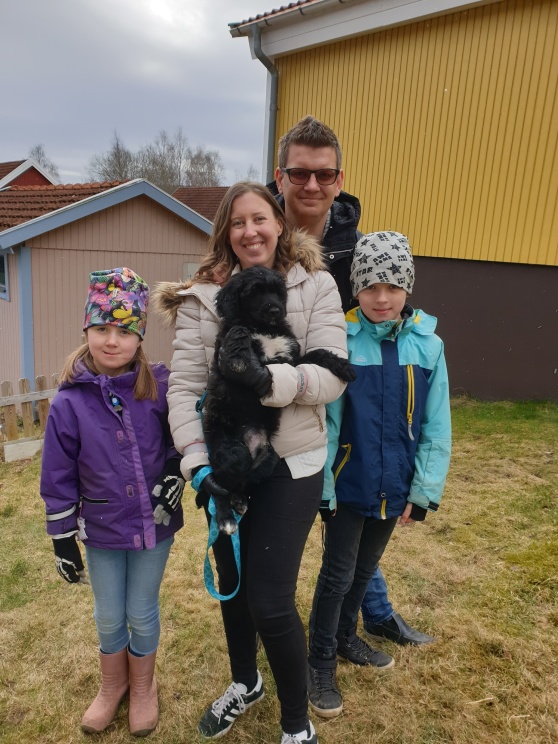 Pixel flyttade till familjen Dahlberg Pixel flyttade till familjen Dahlberg