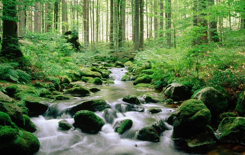 stream stream
