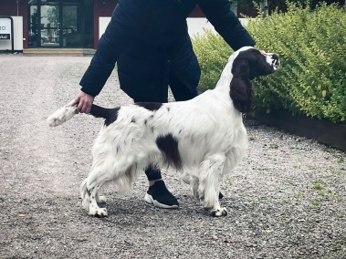 Harry1 Harry1