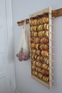 Apelstapeln äppeltork hänger på en vägg på en knoppbräda Apelstapeln äppeltork hänger på en vägg på en knoppbräda