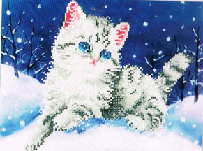 Kitten in snow - Kitten in snow