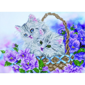 Kitty Basket - Kitty basket