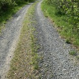 IMG_8434