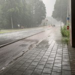 IMG_8747