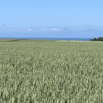 IMG_8915