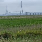 IMG_8986
