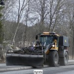 Vårkänslor.005