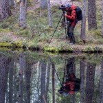 Ingbo källor-5
