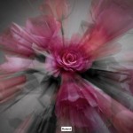 bildkritik 2025 11 06 Abstrakt .018