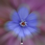 bildkritik 2025 11 06 Abstrakt .035